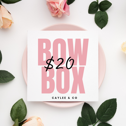 Caylee's $20 Bow Box